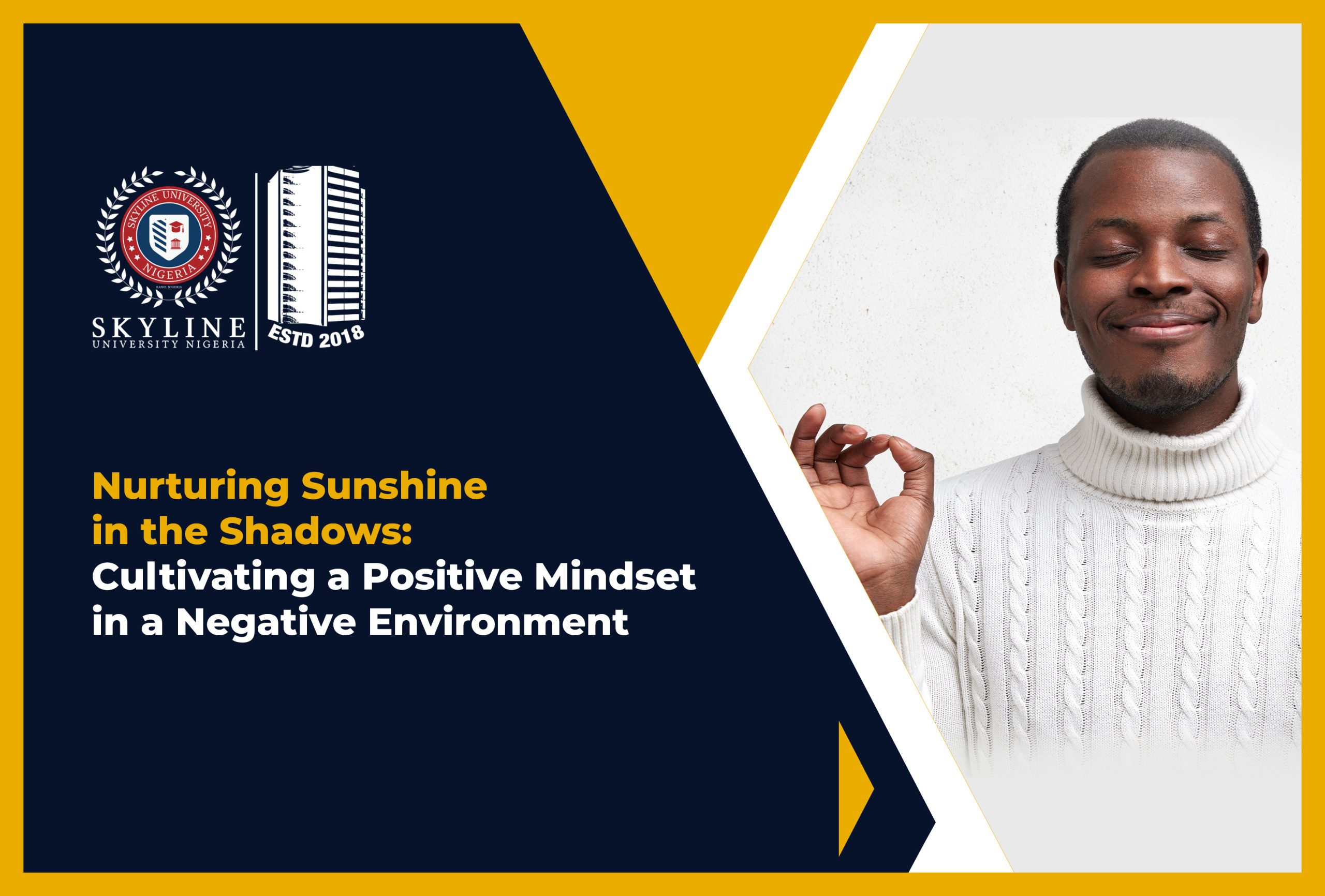 Nurturing Sunshine in the Shadows: Cultivating a Positive Mindset in a Negative Environment